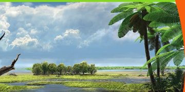 El Museo de Paleontología de Castilla-La Mancha acoge la charla ´Una mirada hacia la vegetación del pasado desde la ventana de Las Hoyas´