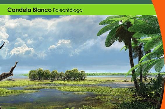 El Museo de Paleontología de Castilla-La Mancha acoge la charla ´Una mirada hacia la vegetación del pasado desde la ventana de Las Hoyas´