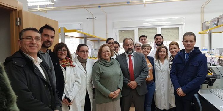 Gobierno regional, UCLM y CSIC estrechan lazos de colaboración para  fomentar la I+D+i en Castilla-La Mancha