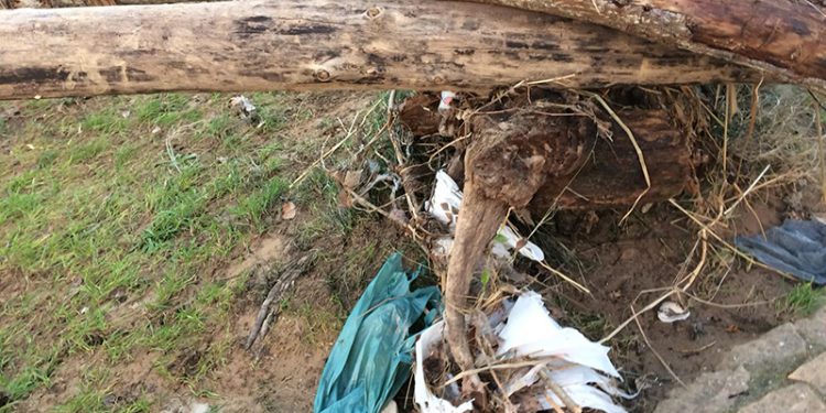 El río Júcar muestra, tras la riada, su cara más fea a su paso por Cuenca