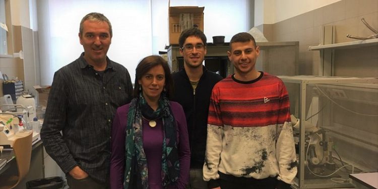 Investigadores de la UCLM desvelan uno de los mecanismos por los que no se forman nuevas memorias en modelos de la enfermedad de Alzheimer Investigadores de la UCLM desvelan uno de los mecanismos por los que no se forman nuevas memorias en modelos de la enfermedad de Alzheimer