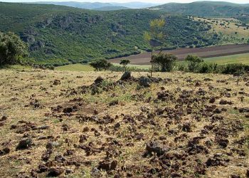 Investigadores del grupo Geovol de la UCLM darán a conocer este sábado en Madrid los volcanes del Campo de Calatrava