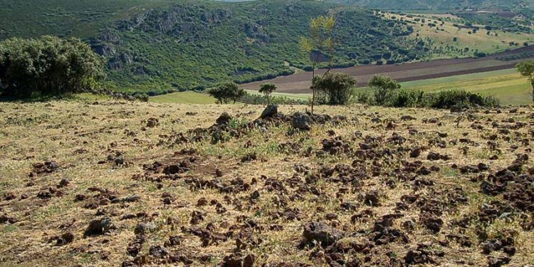 Investigadores del grupo Geovol de la UCLM darán a conocer este sábado en Madrid los volcanes del Campo de Calatrava Investigadores del grupo Geovol de la UCLM darán a conocer este sábado en Madrid los volcanes del Campo de Calatrava