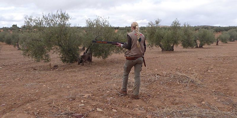 La temporada de caza cierra con buenos resultados en Castilla-La  Mancha