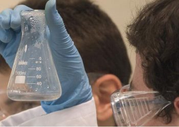 El “talento Marie Curie” llega a la UCLM para avanzar en la investigación sobre cáncer de próstata y dispositivos LED