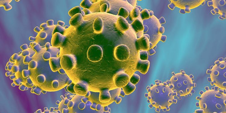 Coronavirus. Propuestas de CSIF para endurecer la contención del coronavirus en las administraciones y servicios públicos