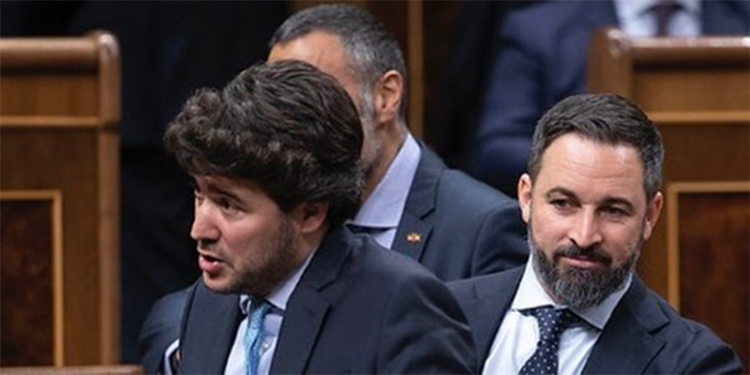 VOX pide al Gobierno que adopte medidas que sirvan para reconocer a la ‘Abeja ibérica’ o ’española’ como una raza propia