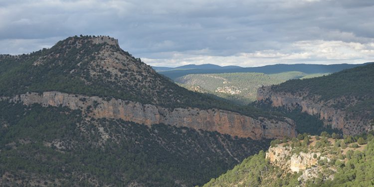 El PSOE de Cuenca se une a la celebración del Día Mundial del Medio Ambiente