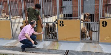 El Albergue de Animales de Cuenca consigue que en el último año un centenar de perros encuentren una familia