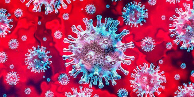 Lunes 6 de julio: el fin de semana deja dos nuevos casos confirmados por coronavirus en Cuenca
