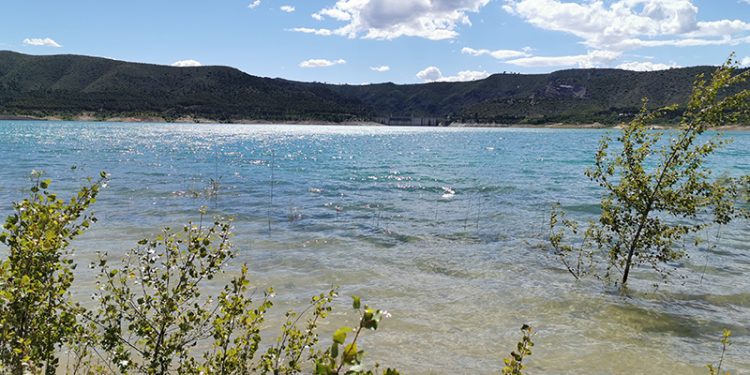Pérez Torrecilla a Jesús Cano: “Un responsable de Agua de Murcia debería estar más pendiente de pedir perdón por el Mar Menor que de seguir robando el agua del Tajo”