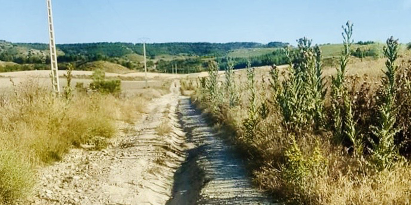 Caminos rurales de Barajas de Melo