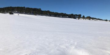 Prieto pide rapidez tanto en la evaluación de daños como en las ayudas e inversiones por los efectos de la nieve en la provincia de Cuenca