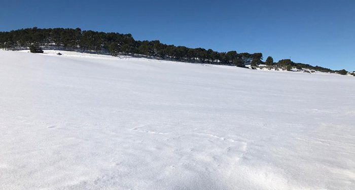 Prieto pide rapidez tanto en la evaluación de daños como en las ayudas e inversiones por los efectos de la nieve en la provincia de Cuenca