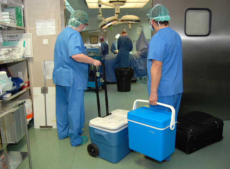 Castilla-La Mancha registró durante el año pasado 64 donaciones de órganos que han permitido recibir un trasplante a 137 personas