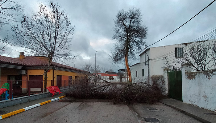 El viento del nuevo temporal azota Cuenca