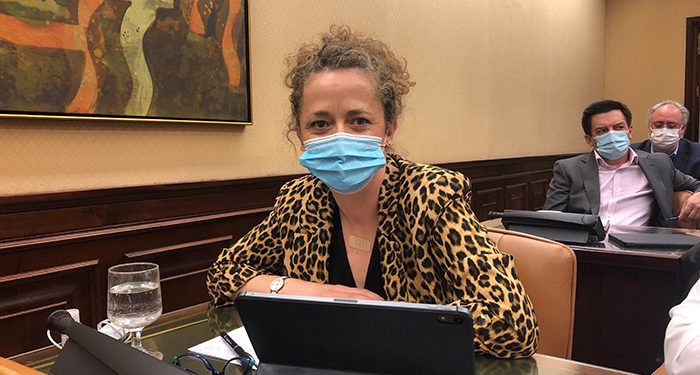 Canales considera “incoherente” que el PP vote en contra del Plan de Recuperación donde hay 20 proyectos de la Diputación