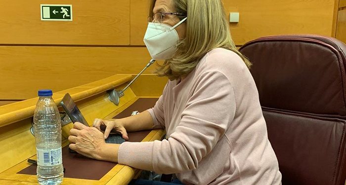 Torralba apuesta por regular el Estatuto Básico de los Municipios de menor población para afianzar la calidad democrática y mejorar la calidad de los servicios