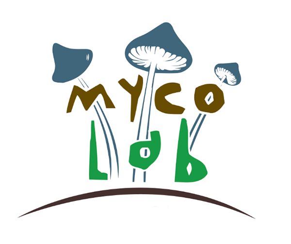 Mycolab surge de UFIL para formar a personas sobre el autocultivo de hongos comestibles y medicinales