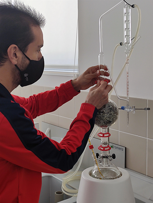 Un participante de UFIL trabaja en un proyecto para el destilado artesanal de esencias silvestres