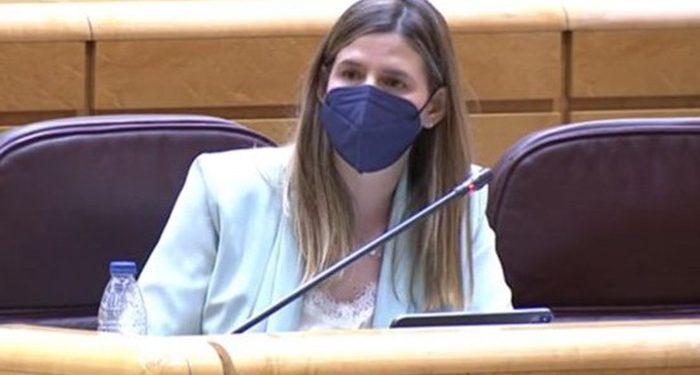 Agudo: “El ministro Ábalos deja sin tren a su pueblo mientras rescata una aerolínea chavista”