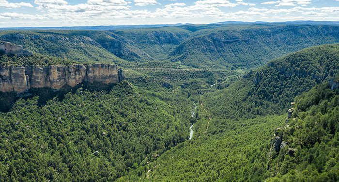 Nace RumboRural, la plataforma de jóvenes que se lanza a revitalizar el Alto Tajo