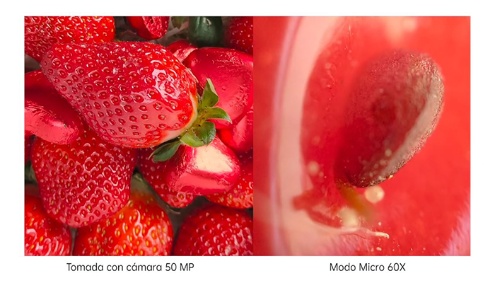 ¿Fotos microscópicas con un móvil Oppo asegura que se puede con su Find X3 Pro 5G