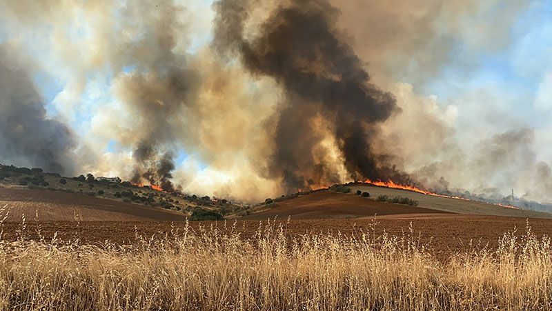 Incendio agrícola en Gascueña