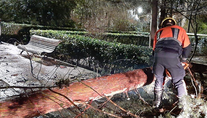 La tormenta deja en Cuenca dos árboles caídos en el parque de Santa Ana y en Mohorte