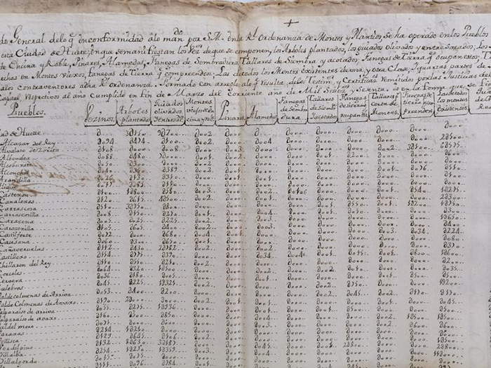 El Archivo Histórico de Cuenca dedica el documento del mes a nuestros montes