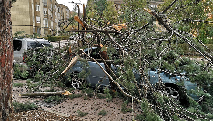 El temporal de viento se intensifica y un árbol cae sobre un coche en la Fuente del Oro