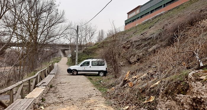 Recogida de árboles caídos, chapas y tejas, apuntalamientos y limpieza general, tareas tras el paso de la borrasca Celia en Cuenca