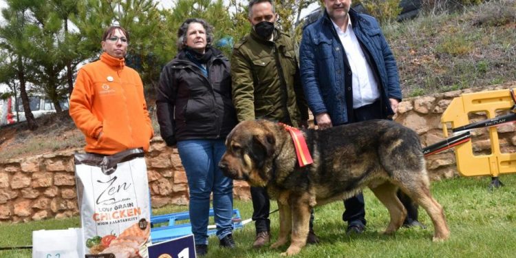 Castilla-La Mancha considera que la Ley de Bienestar Animal invade competencias autonómicas y “rezuma desconfianza” hacia el modo de vida del medio rural Castilla-La Mancha considera que la Ley de Bienestar Animal invade competencias autonómicas y “rezuma desconfianza” hacia el modo de vida del medio rural