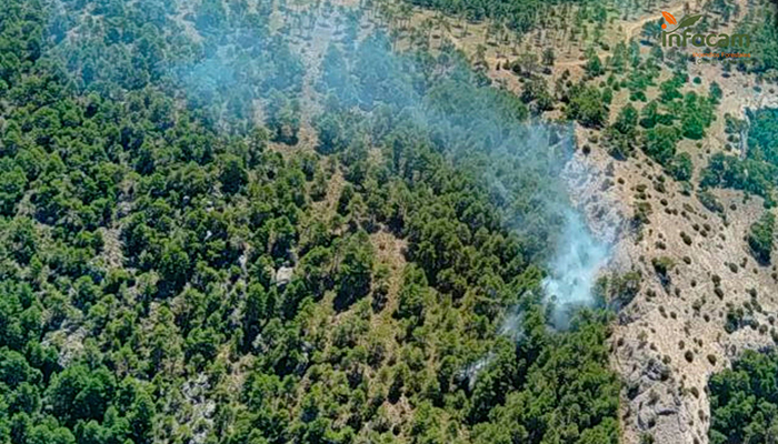 Alcantud vuelve a arder siete medios y 29 personas luchan contra un incendio