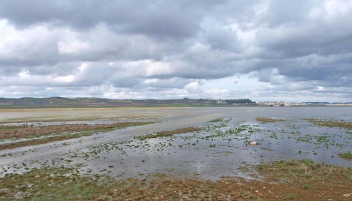 El TSJCM declara nulo el decreto de ampliación de la ZEPA en la laguna de El Hito hasta 25.000 hectáreas