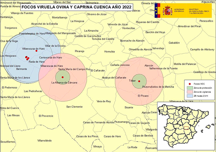La viruela ovina se extiende por Cuenca con dos nuevos focos en La Alberca y Tébar