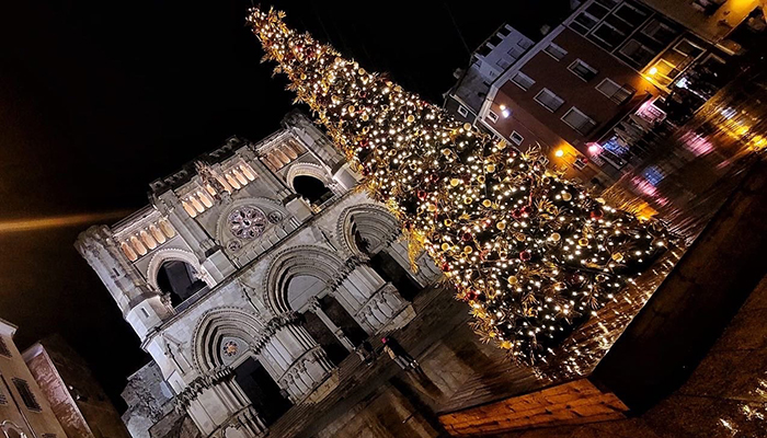 Sustraen adornos del árbol de Navidad instalado en la Plaza Mayor de Cuenca