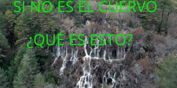 La hermana pequeña del Cuervo