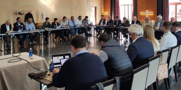 Los productores de ajo de España, Italia y Francia exigen a Bruselas un mayor control para evitar la entrada fraudulenta de ajo chino en la UE