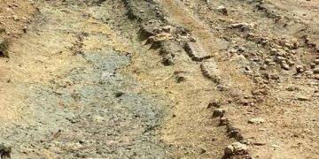 El Ayuntamiento de Carboneras realizará una valoración de los daños causados por la tormenta del jueves en caminos del municipio, “para que las administraciones los reparen lo antes posible”