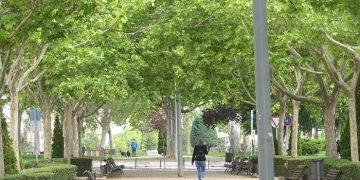 CEOE-Cepyme Cuenca celebra el Día del Medio Ambiente trabajando este aspecto con sus empresas