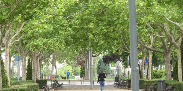 CEOE-Cepyme Cuenca celebra el Día del Medio Ambiente trabajando este aspecto con sus empresas
