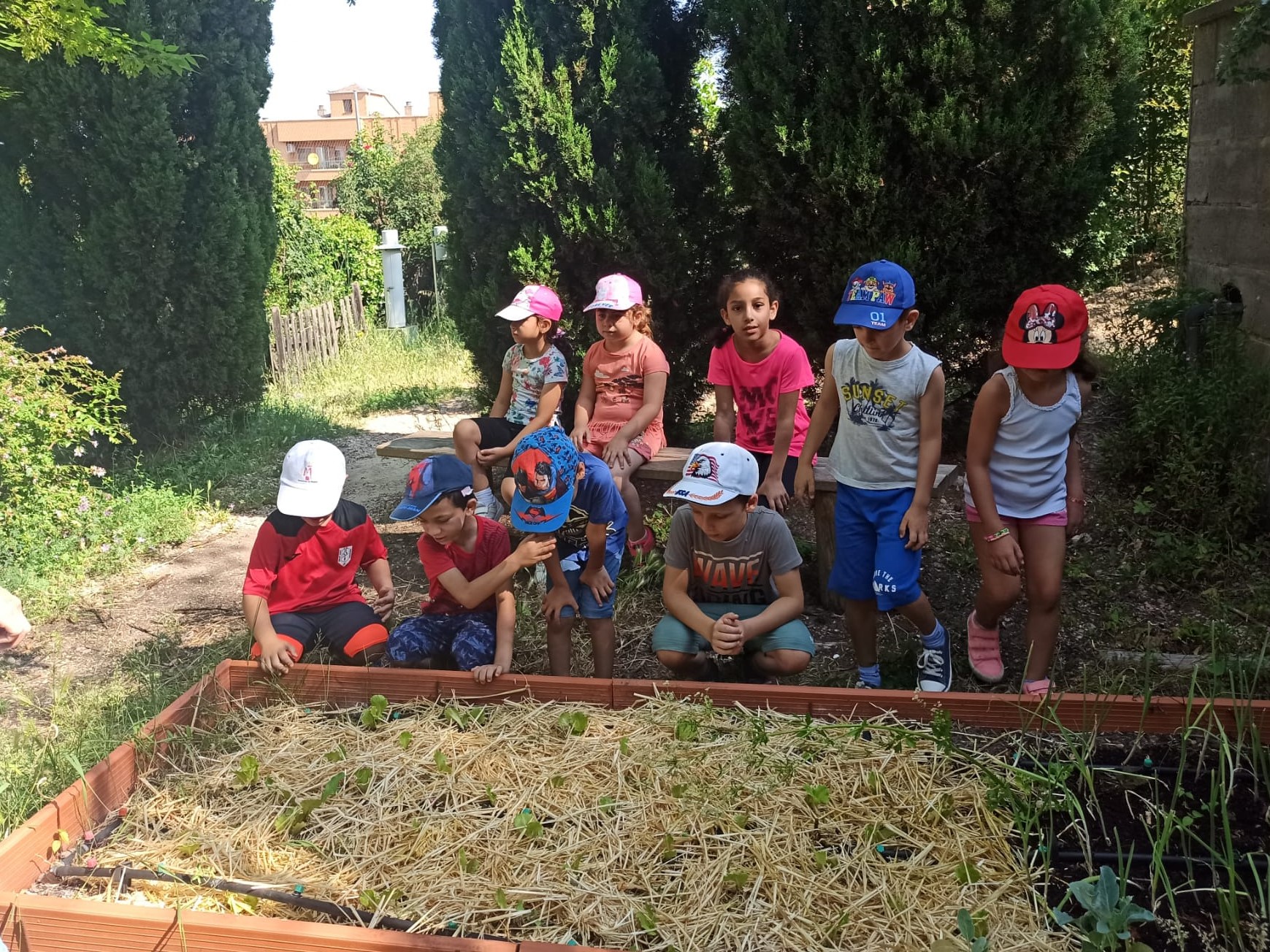 actividad huerto aldeas infantiles 1 | Liberal de Castilla