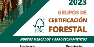 Cuenca acogerá un seminario sobre certificación forestal FSC