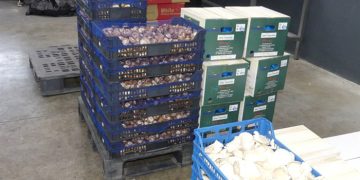 Los productos de Cuenca siguen gustando cada vez más en el exterior