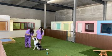 Invierte en Cuenca respalda la puesta en marcha en Cuenca del Hotel Mimascota