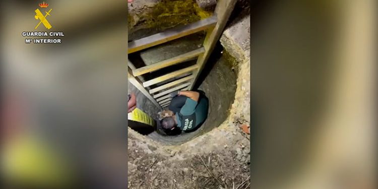 La Guardia Civil rescata un perro que había caído a un pozo en Tarancón La Guardia Civil rescata un perro que había caído a un pozo en Tarancón