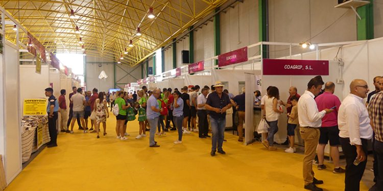 La XLIX Feria Internacional del Ajo de Las Pedroñeras registró alrededor de 15.000 visitantes La XLIX Feria Internacional del Ajo de Las Pedroñeras registró alrededor de 15.000 visitantes