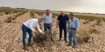 El delegado de Agricultura visita San Clemente y Las Mesas para interesarse por el estado del campo conquense tras el paso de la DANA