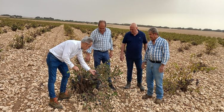 El delegado de Agricultura visita San Clemente y Las Mesas para interesarse por el estado del campo conquense tras el paso de la DANA